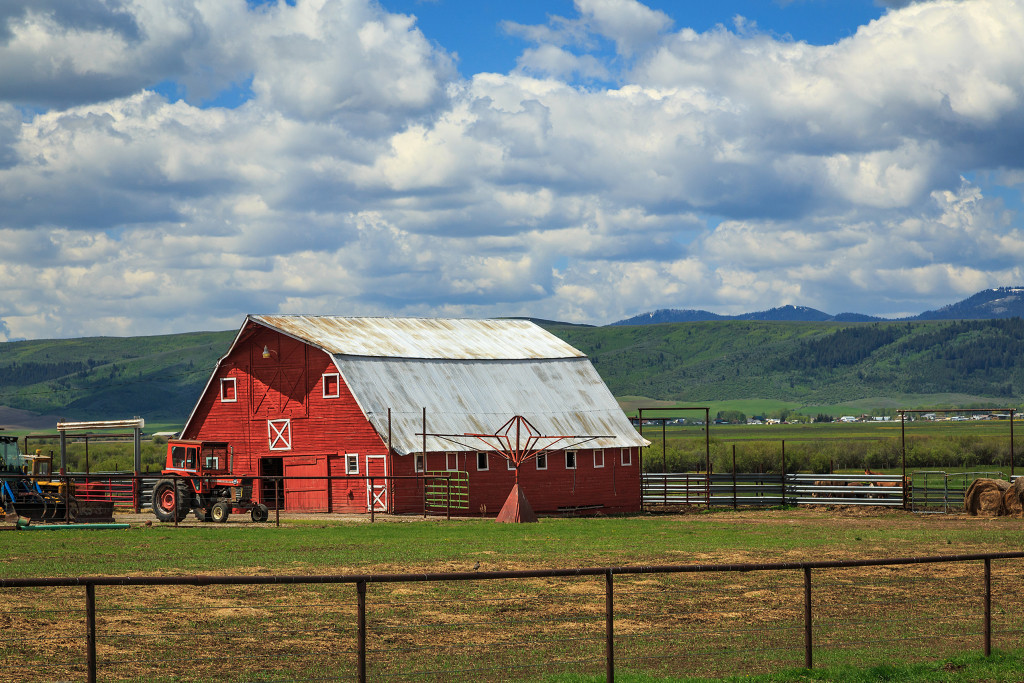 rural area